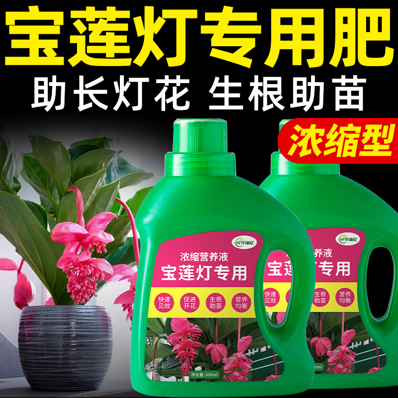 宝莲灯专用肥宝莲花营养液肥料室内家用盆栽植物花卉绿植水溶开花