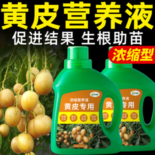 黄皮树肥料黄皮果专用肥黄皮营养液复合果树开花结果有机水溶促果