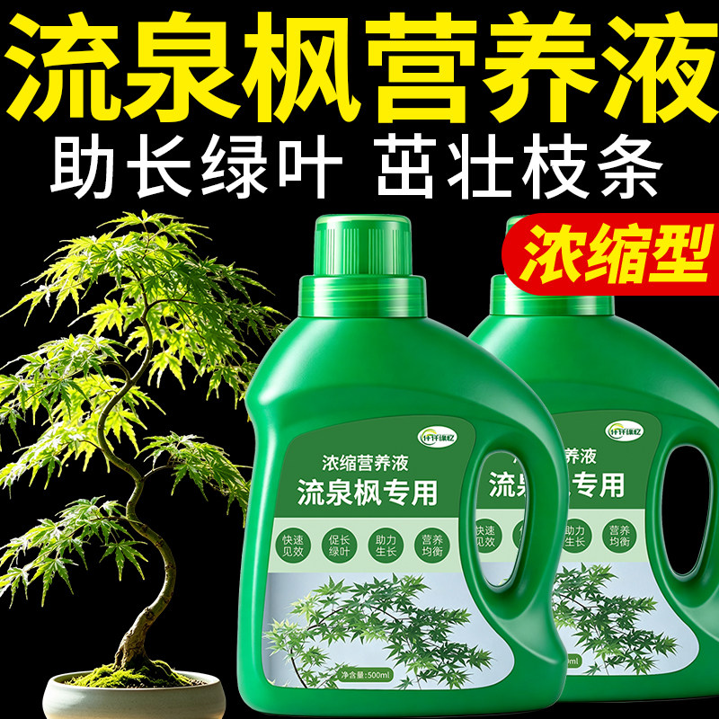 流泉枫专用肥枫树营养液红枫肥料家用盆栽盆景观叶植物复合氮磷钾图片