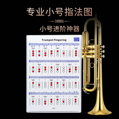 专业小号指法图解练习五线谱自学