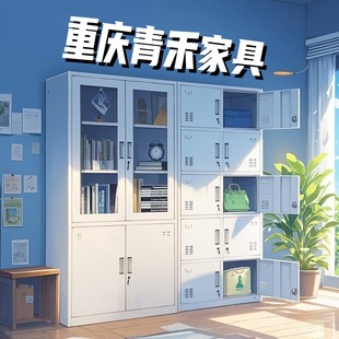 办公室文件柜储物柜更衣柜铁皮柜资料柜档案柜凭证柜书柜 重庆