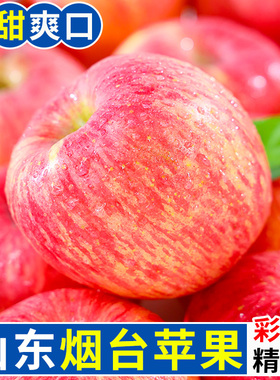 御品一园正宗山东烟台苹果红富士新鲜水果当季5斤75mm起一整箱