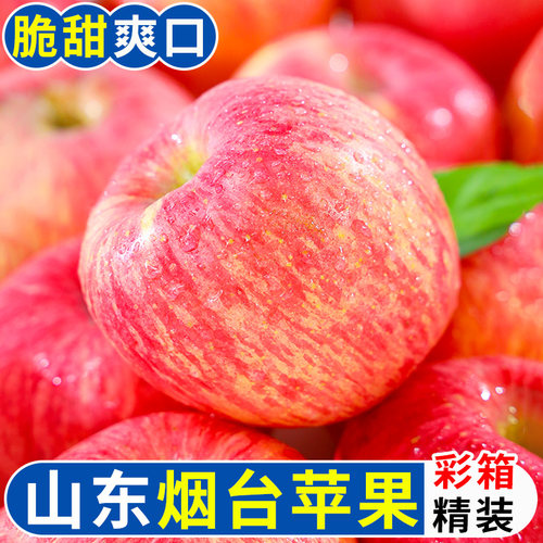 御品一园正宗山东烟台苹果红富士新鲜水果当季4.5斤75mm起一整箱