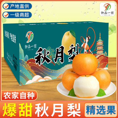 山东秋月梨梨子应当季水果整箱包邮脆甜蜜梨清甜大果多汁