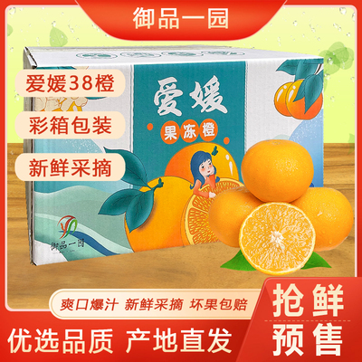 御品一园爱媛果冻橙四川新鲜采摘
