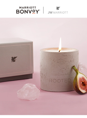 JW万豪酒店Rooted香薰蜡烛 卧室摆件香氛蜡烛结婚生日礼物伴手礼