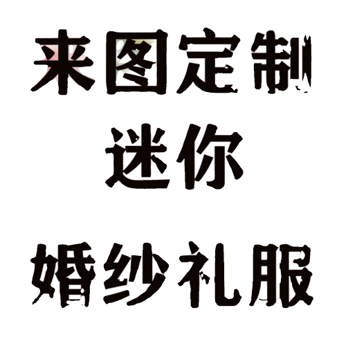来图定制私人定小婚纱礼服结婚摆件礼物纪念品娃衣