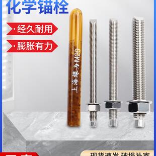 304不锈钢化学地脚螺栓高强度螺栓国标膨胀螺钉M8M10M12M16M20M新