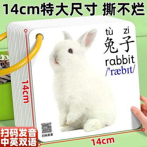 婴儿早教认知闪卡看图识物