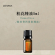 多特瑞桂花5ml单方精油doterra官网正品 涂抹按摩保湿 皮肤滋养