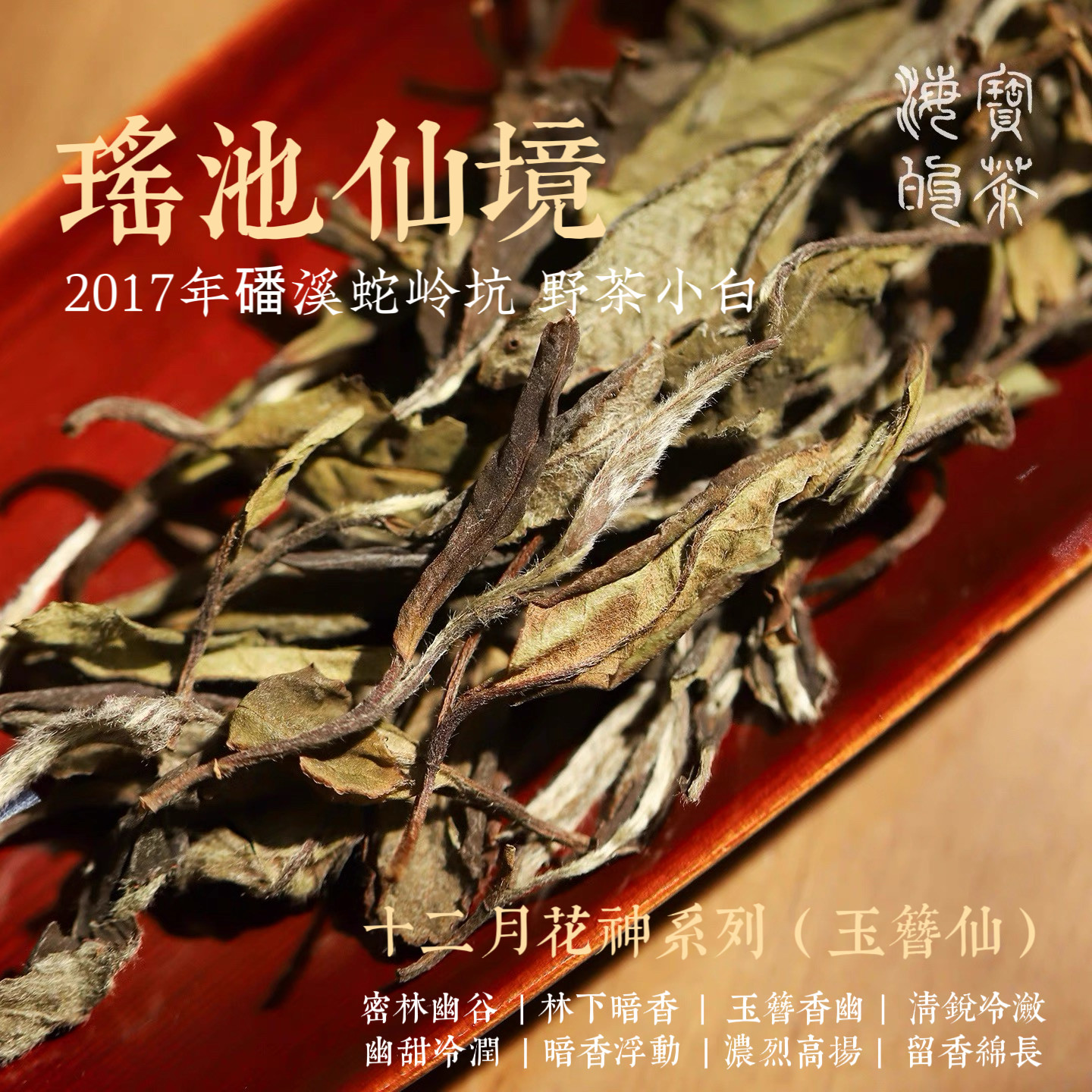 瑶池仙境.蛇岭坑2017年荒野群体种小白贡眉幽香馥郁 清雅玉簪香