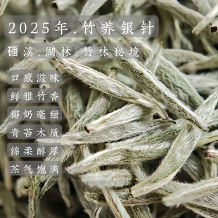 竹林秘境.2025年磻溪湖林.竹养老树白毫银针 一末参赛银针