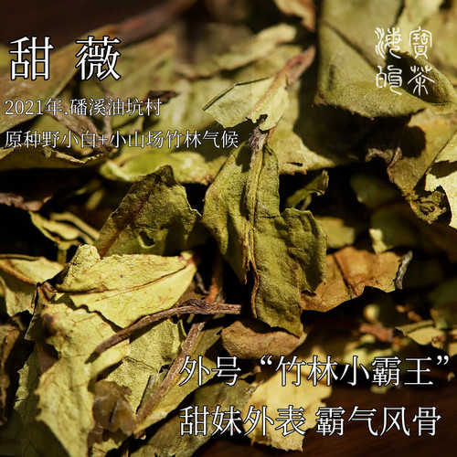竹林霸王.2021年甜薇散料版.磻溪油坑村群体原种野小白非常稀缺