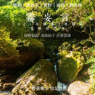 雾妄言.野弥王中王2025华茶1号野头采炭焙牡丹王雾里茶香难言说