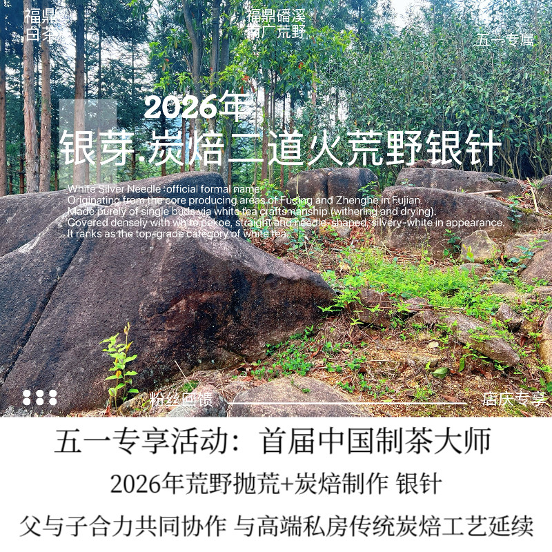 店庆第二弹.银芽2026年荒野抛荒二道火炭焙银针 首届中国制茶大师
