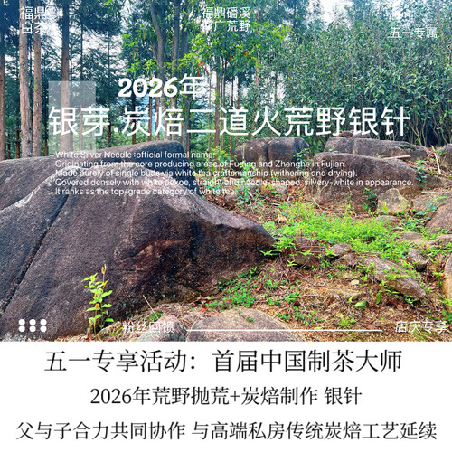 银芽2026年荒野抛荒二道火炭焙银针 匠人手作