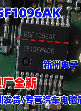 R5F1096AK R5F1096AKSP 汽车电脑芯片 进口热卖 TSSOP20 原厂全新