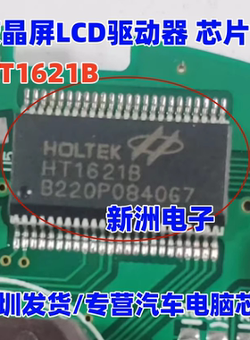 HT1621B 适用液晶屏LCD驱动器芯片  RAM映射 液晶芯片 SSOP48
