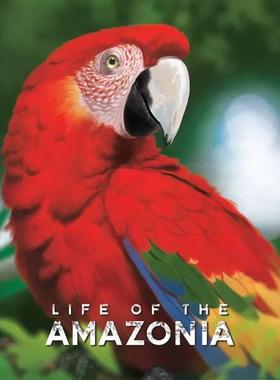 【桌游乱炖】Life of the Amazonia
