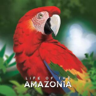 【桌游乱炖】Life of the Amazonia