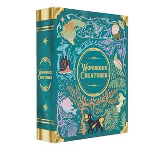【桌游乱炖】Wondrous Creatures
