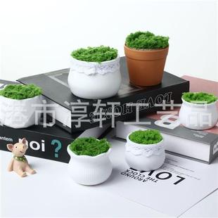 圆形简约花盆塑料材质加厚防摔迷你花盆摆式欧式礼品多肉