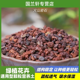 火山岩红颗粒营养土兰花蝴蝶兰君子兰铺面配料垫底鱼缸水族箱造景