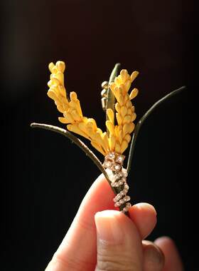 黄色桂花麦穗高端精致时尚胸针