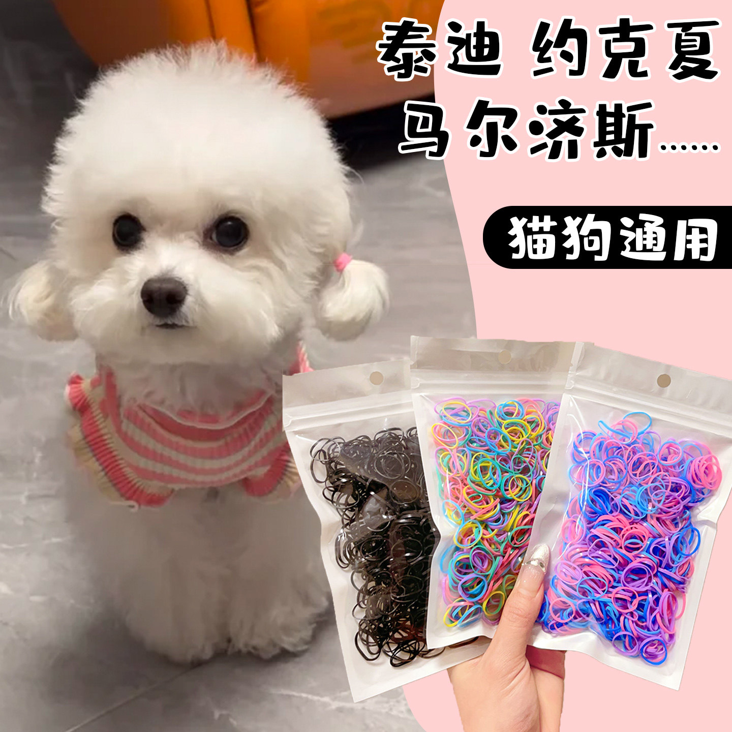 一次性狗狗专用扎头发橡皮筋头绳宠物发饰小狗发绳猫狗通用扎辫子,宠物/宠物食品及用品,发饰/头饰,淘宝优惠券,粉丝福利购,淘宝优惠卷
