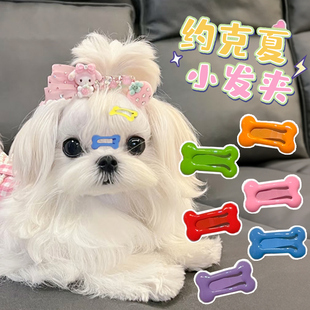 约克夏宠物小发卡迷你骨头发夹猫猫狗狗通用刘海夹bb夹子可爱造型