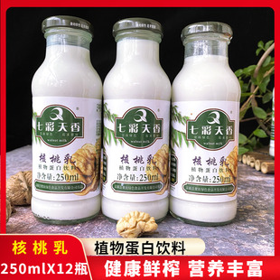 云南曲靖特产富源七彩天香核桃乳植物蛋白饮料学生早餐牛奶乳饮品