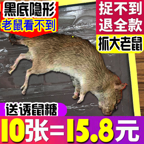 Rat Strength Efficient Sticky mouse board household Artifact eliminate Rodent control Mouse Clearance Superin the Home Daily , Deworming supplies , Rodent cages/Mousetrap  category - from Buy2taobao.com to provide professional Taobao agent buy service