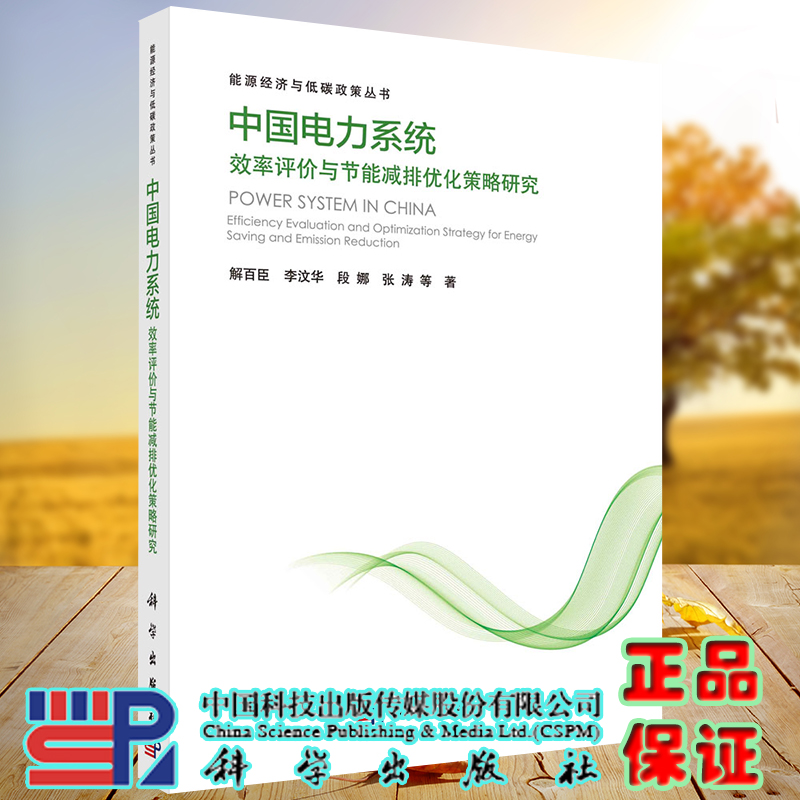 正版全新现货平装中国电力系统效率评价与节能减排优化策略研究能源经济与低碳政策丛书解百臣等著科学出版社9787030682697