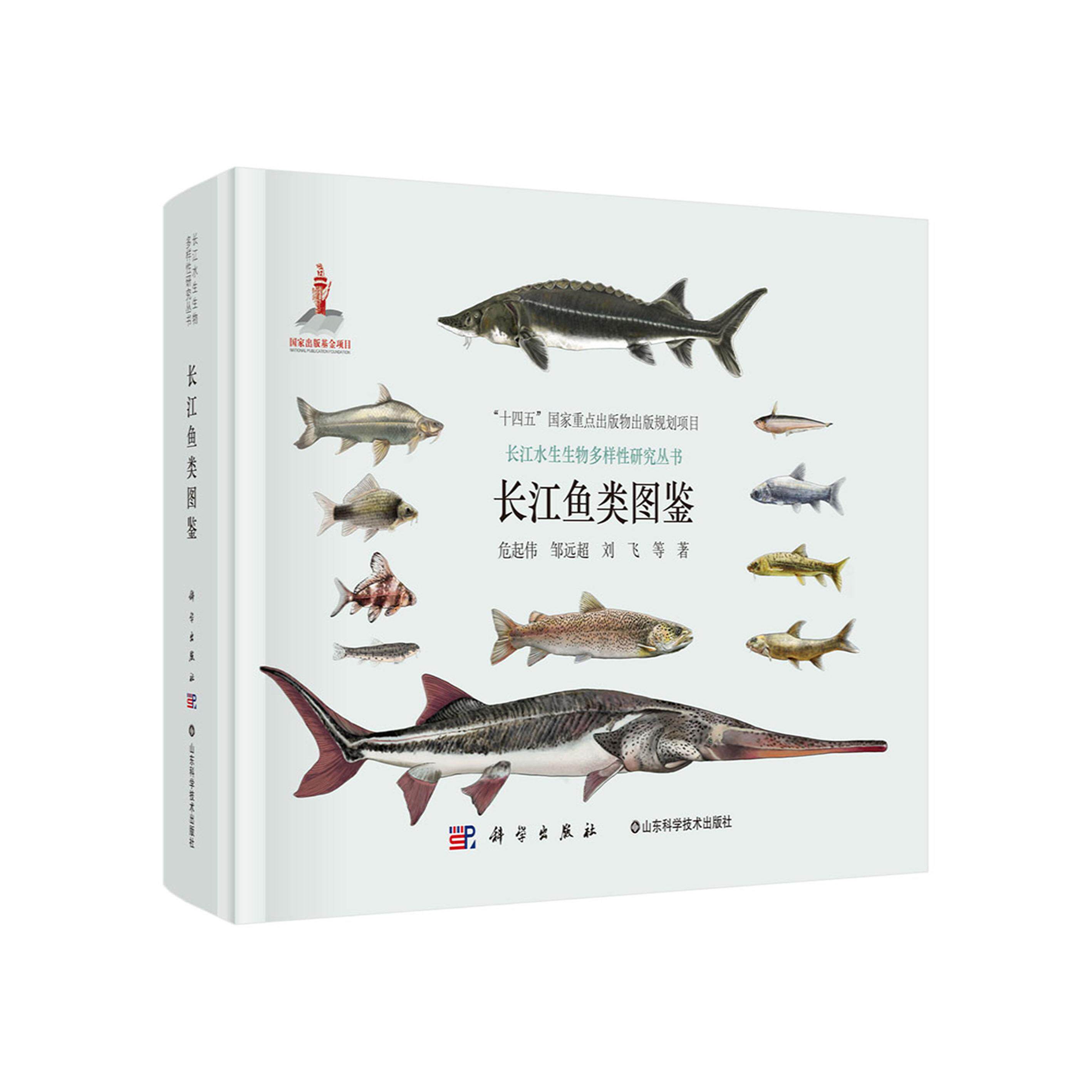 正版全新 精装 长江鱼类图鉴 危起伟 科学出版社 9787030811295