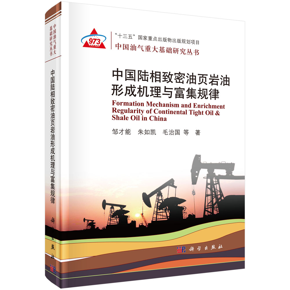 正版现货 中国陆相致密油页岩油形成机理与富集规律 邹才能,朱如凯 等 科学出版社 9787030582140圆脊精装