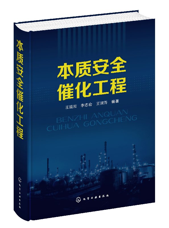 正版现货本质安全催化工程王延吉、李志会、王淑芳编著 1化学工业出版社