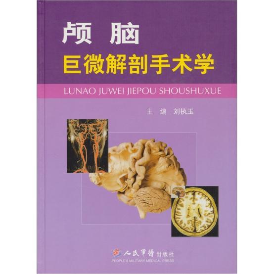 颅脑巨微解剖手术学3