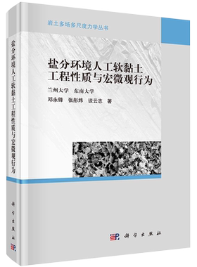 正版现货精装盐分环境人工软黏土工程性质与宏微观行为岩土多场多尺度力学丛书邓永锋张彤炜谈云志著科学出版社9787030690814