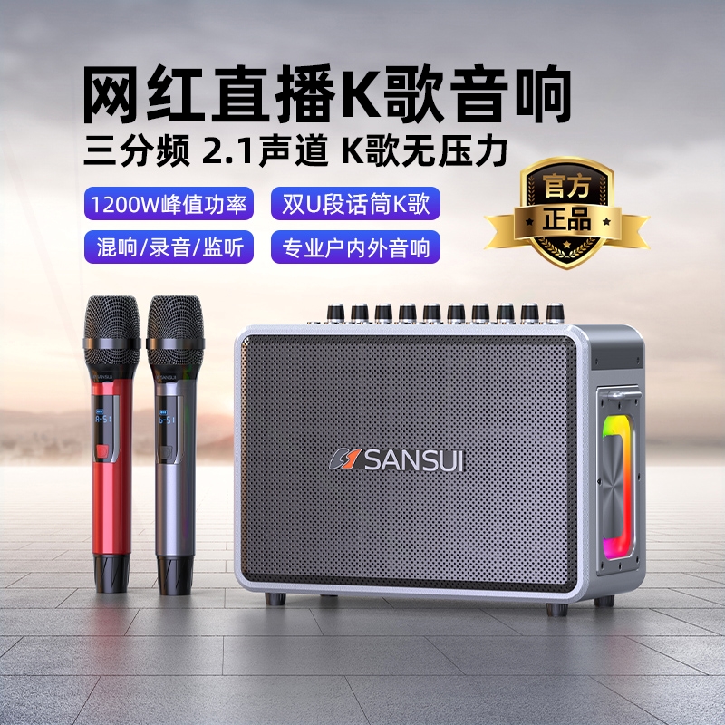 山水G9户外蓝牙k歌声卡高端一体