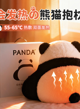 生日礼物女生三八妇女节送女友闺蜜朋友实用的高级感熊猫发热抱枕