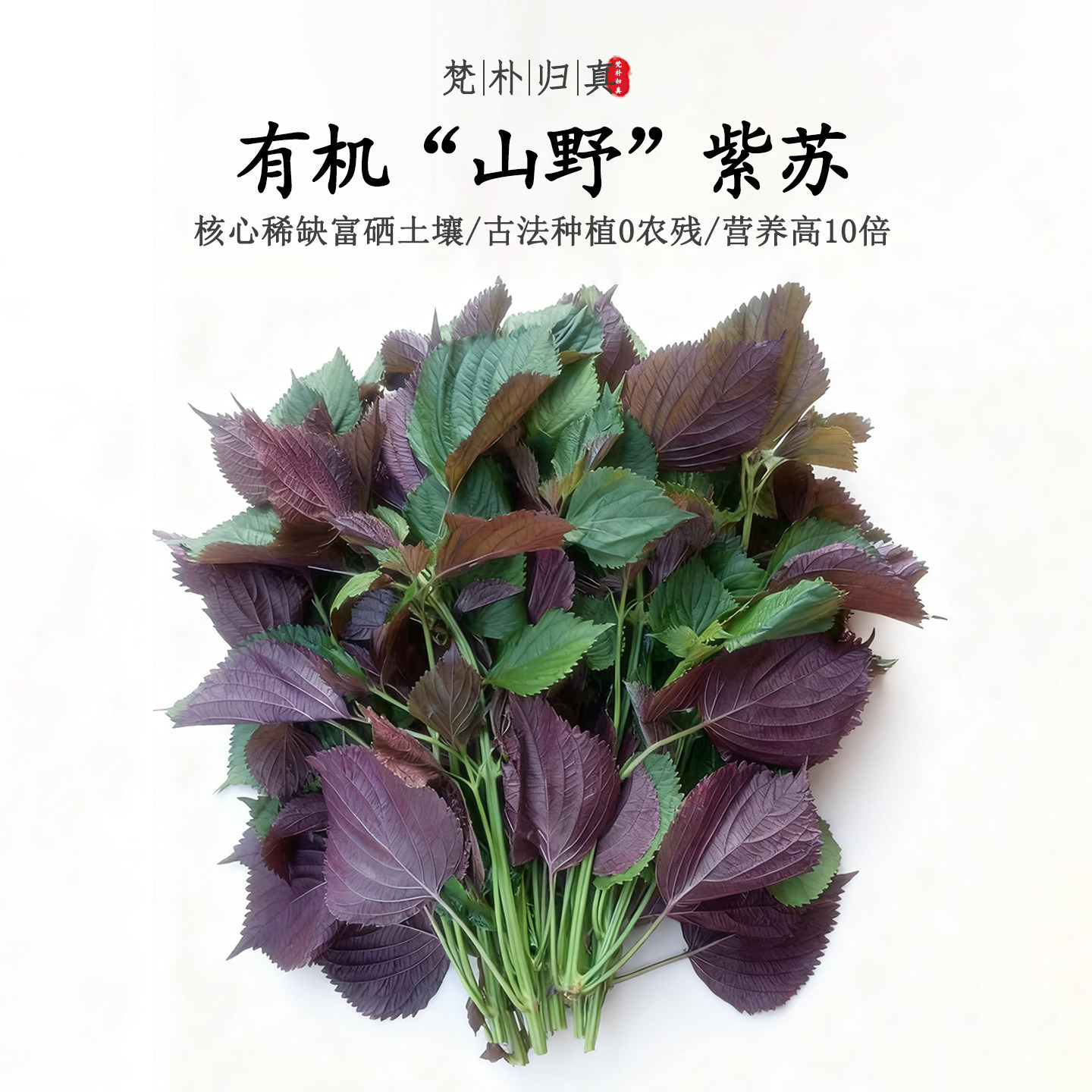【不仅有机而且富硒】山野紫苏 0农残高营养 现采/顺丰冷链空运,水产肉类/新鲜蔬果/熟食,叶菜类,淘宝优惠券,粉丝福利购,淘宝优惠卷