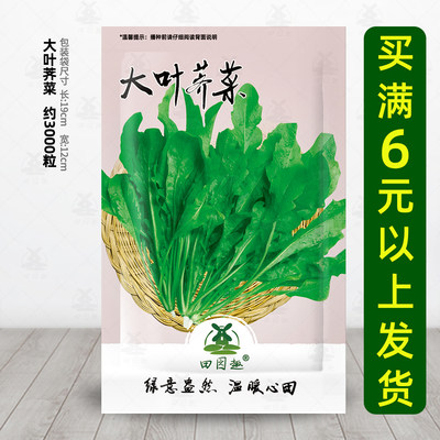 田园趣大叶荠菜蔬菜种子农家菜籽春夏秋冬阳台播种菜园 虎窝淘