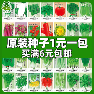 蔬菜种子盆栽阳台绿植物室内外四季 农家番茄白萝卜生菠青香韭菜籽