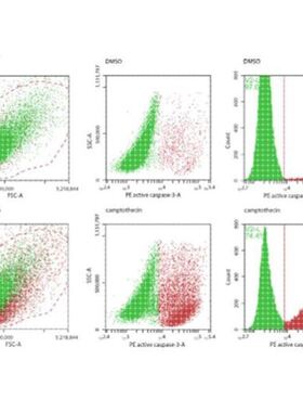 热图韦恩图火山图森林图气泡图单细胞miRNA靶基因转录组RNAseq