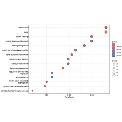 R语言代码作图绘图rstudio科研绘图SCI分析tcga基因生存画图素材