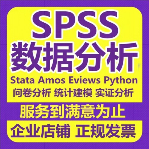 python代编程数据分析stata实证eviews统计amos问卷meta分析R