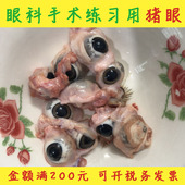 手术眼睛 手术眼角膜猪眼睛 包邮 医学实验猪眼睛 真空包装 10个