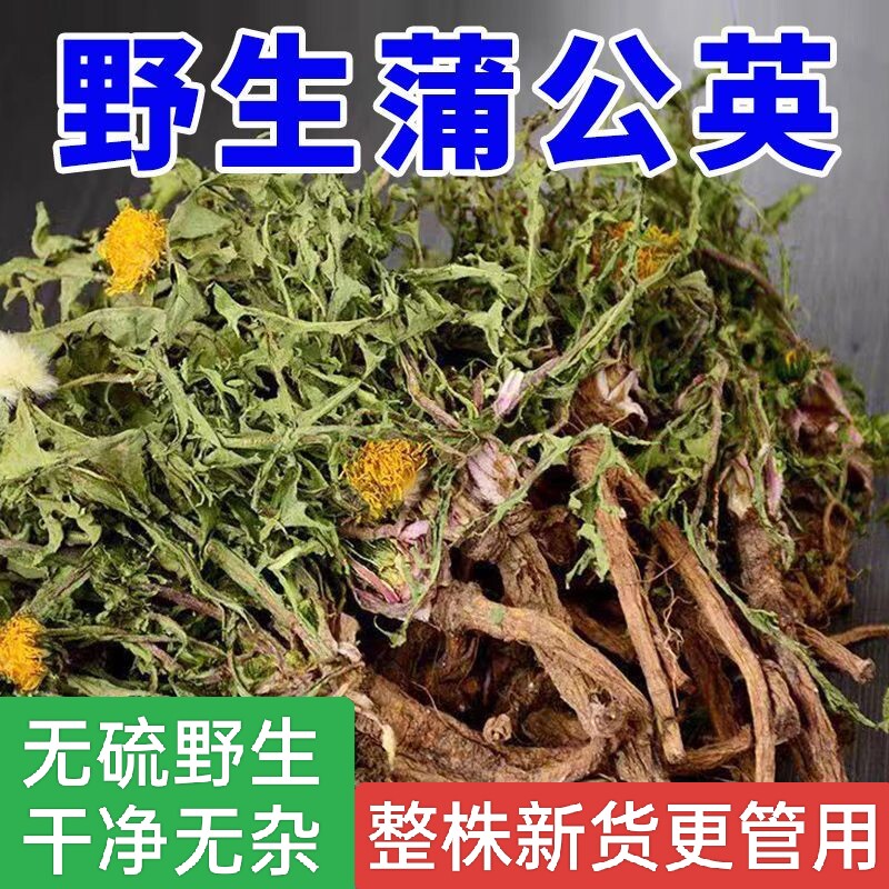 蒲公英中药材特级野生婆婆丁泡茶图片