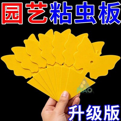 小黄板粘虫板双面诱虫板黏沾虫小飞虫粘板家用强力粘蝇纸花卉蝴蝶