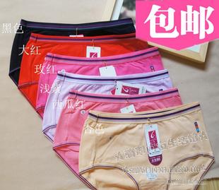 三角裤 满6条 大码 包邮 高腰 紫红天5091纯色中高弹提臀纯棉女士内裤